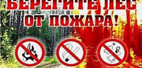 При сборе ягод и грибов, не забывайте о правилах пожарной безопасности!