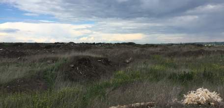 Елецкий сахарный завод - насколько законны кагатные поля с жомом у дороги?
