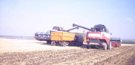 В Елецком районе началась уборка урожая зерновых культур