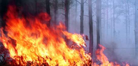 Силы и средства Липецкого управления МЧС переведены в режим повышенной готовности