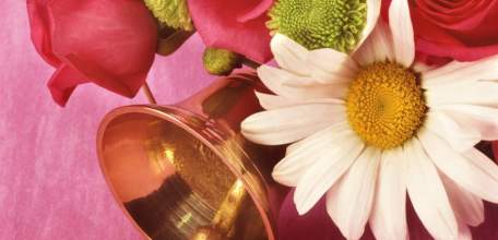 1 сентября в Липецкой области за парты сядут более 119 тыс. школьников, из них почти 13 тыс. первоклассников