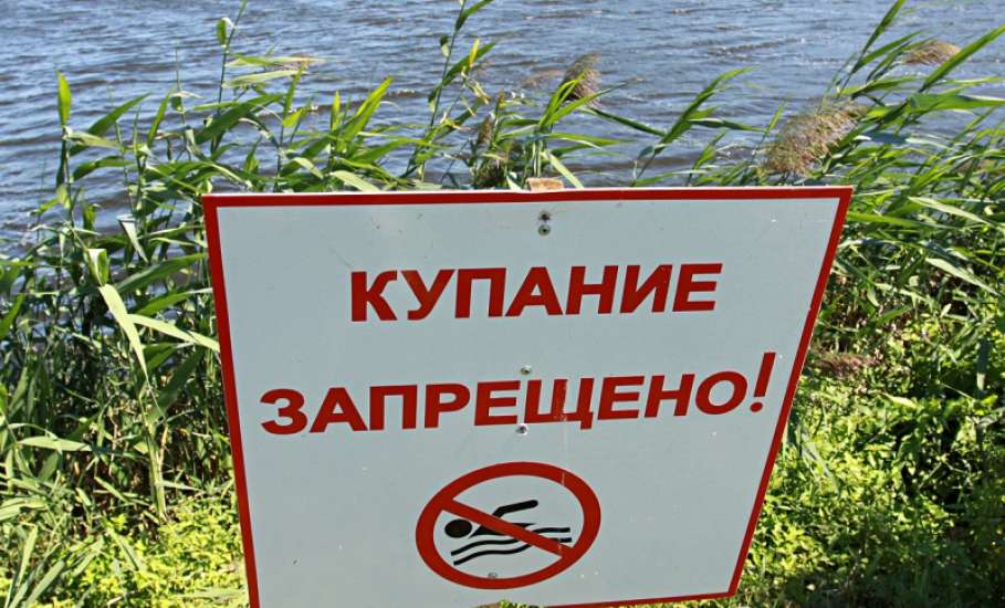 В Ельце временно запрещено купание на городском пляже