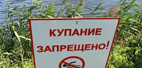 В Ельце временно запрещено купание на городском пляже