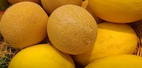 У елецкого предпринимателя из торговой палатки украли дыни