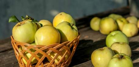 В Ельце пройдет VIII Межрегиональный событийный туристский фестиваль «Антоновские яблоки»