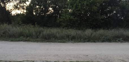 Жители Ельца сами занимаются благоустройством города! Зачем нужна администрация?!