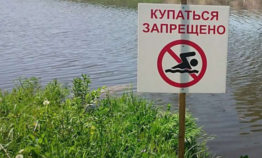 Купаться запрещено фото