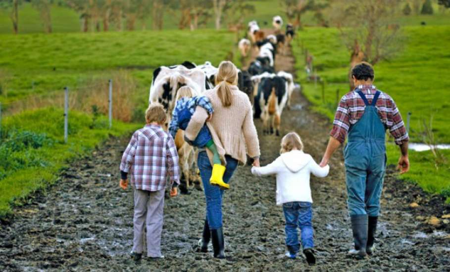 В Липецкой области пройдет конкурс на определение лучших хозяйств года среди многодетных семей