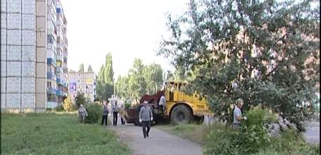 В Ельце продолжаются работы по благоустройству: на ул. Пушкина вырубали заросли американского клена