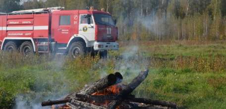 С 18 августа по югу Липецкой области ожидается чрезвычайная пожароопасность лесов - горимость 5 класса