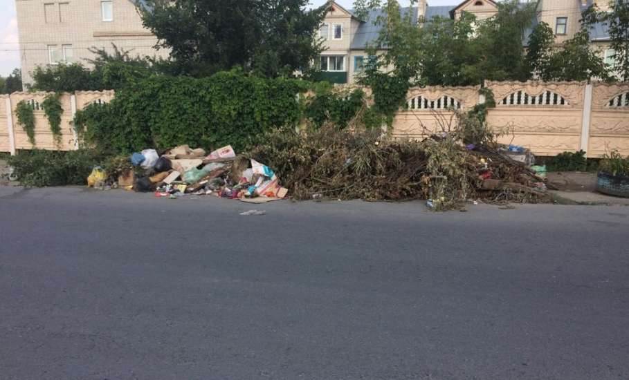 Зловоние и мусор на улице Мира, напротив дома 136, достало местных жителей!