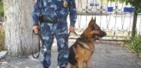 В Елецком районе служебная собака помогла задержать подозреваемого