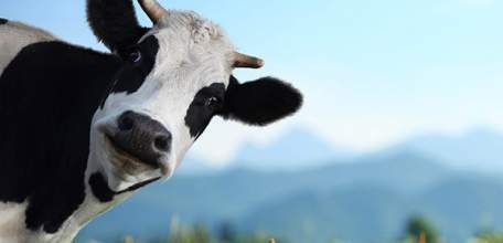 В Липецкой области разработана дополнительная мера поддержки для малоимущих семей