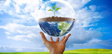 Областной форум в седьмой раз соберет юных экологов