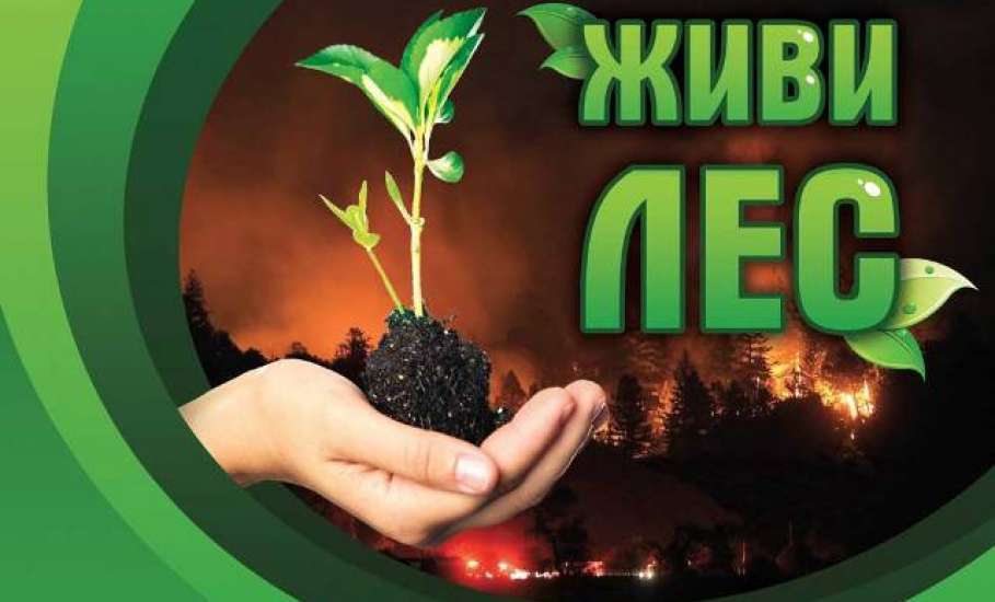 В Липецкой области объявлена акция «Живи, лес!»