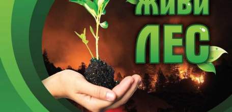 В Липецкой области объявлена акция «Живи, лес!»