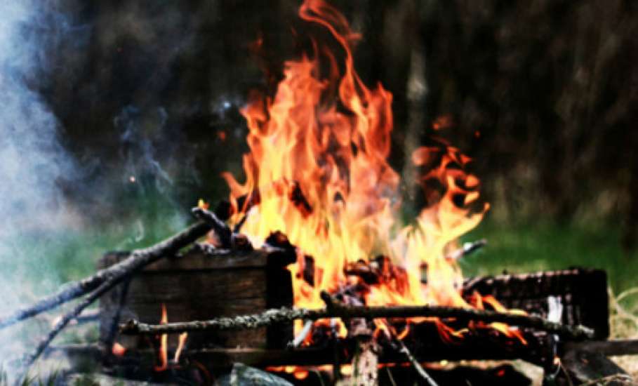 В связи с установлением высокой пожарной опасности в лесах и началом «грибного» сезона лесоводы напоминают жителям Липецкой области о необходимости соблюдения правил пожарной безопасности