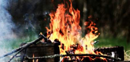 В связи с установлением высокой пожарной опасности в лесах и началом «грибного» сезона лесоводы напоминают жителям Липецкой области о необходимости соблюдения правил пожарной безопасности