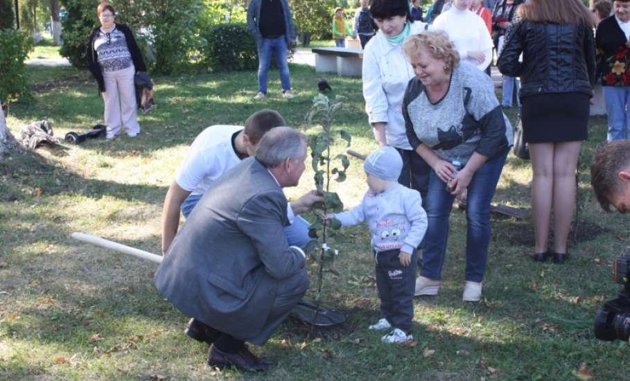 Второй день Межрегионального событийного туристского фестиваля «Антоновские яблоки» в Ельце 24 сентября 2017 года