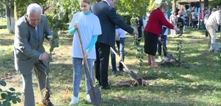 Фестиваль «Антоновские яблоки» в Ельце завершился посадкой яблонь в городском парке