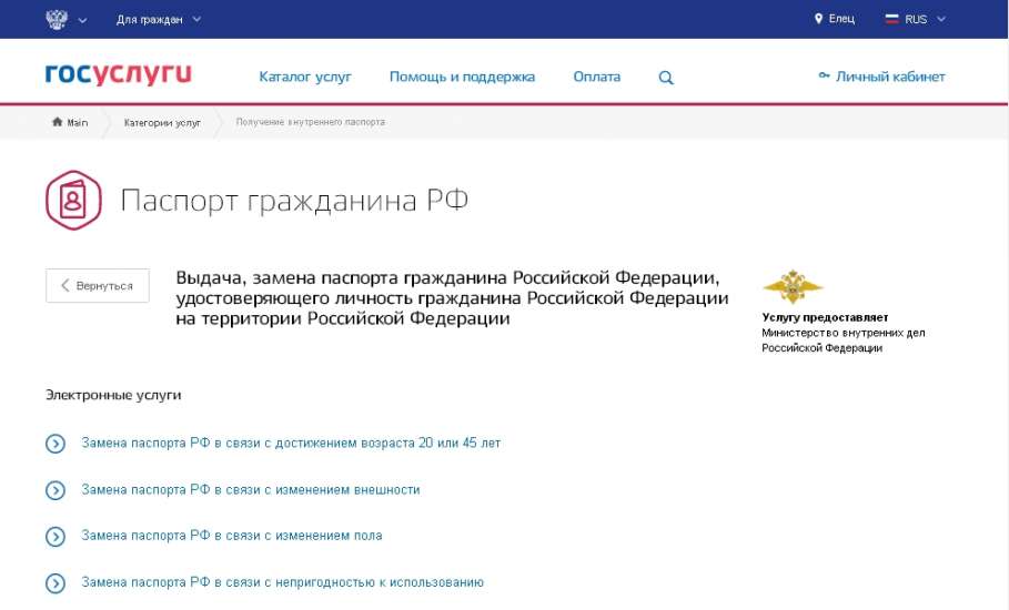 Полицейские рекомендуют жителям города Ельца оформлять паспорта через сайт Госуслуг
