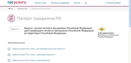 Полицейские рекомендуют жителям города Ельца оформлять паспорта через сайт Госуслуг