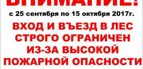 В Липецкой области введено ограничение на посещение лесов