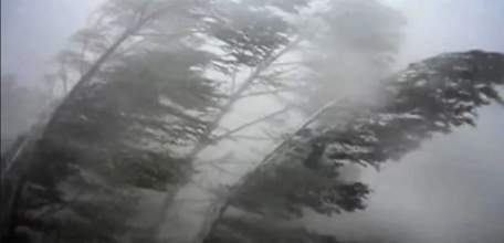 6 октября на территории Липецкой области прогнозируются неблагоприятные погодные явления!