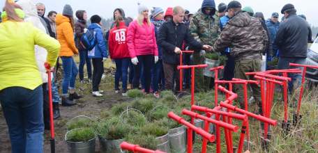 Жители Липецкой области в ходе акции «Живи, лес» посадили более 45 тыс. молодых деревьев