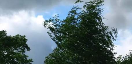 МЧС предупреждает об усилении северо-западного ветра с порывами до 15-17 м/с в ближайшие 2-4 часа