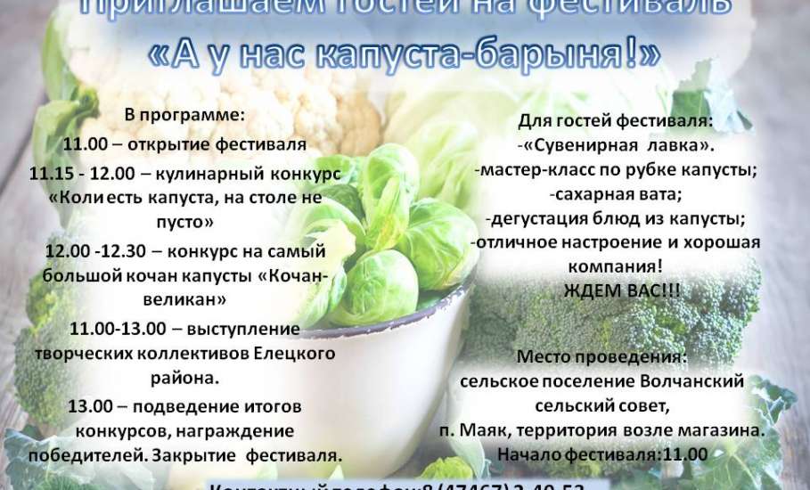 28 октября в посёлке Маяк пройдёт фестиваль «А у нас капуста - барыня»