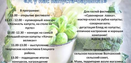 28 октября в посёлке Маяк пройдёт фестиваль «А у нас капуста - барыня»
