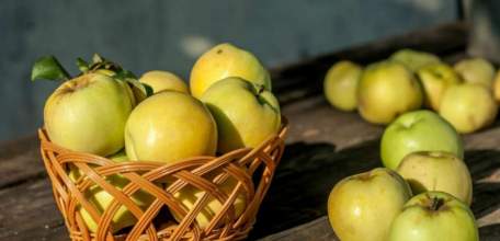 Фестиваль «Антоновские яблоки» вошёл в десятку лучших событий осени