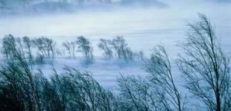 МЧС предупреждает о неблагоприятных погодных явлениях на территории Липецкой области