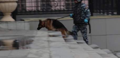 В центре Ельца выставлено оцепление, работают эсктренные службы