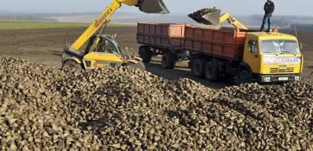 В Елецком районе продолжается сбор урожая