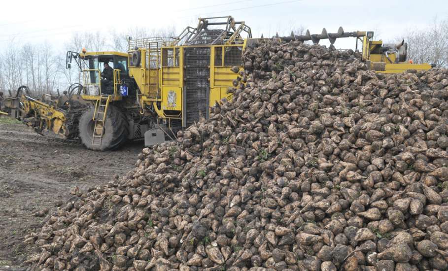 Пять миллионов тонн сахарной свеклы собрали аграрии Липецкой области