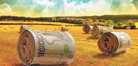 Средства на поддержку АПК в 2018 году из Липецкого областного бюджета будут увеличены