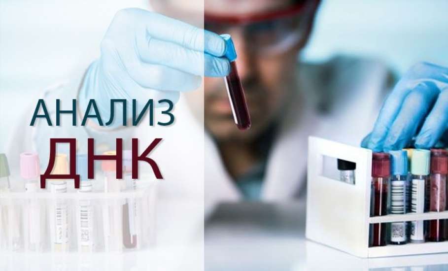 Анализы ДНК в Клинике Доктора Шаталова
