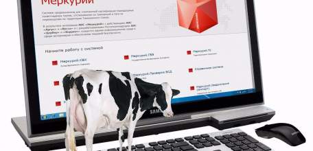 С 1 января 2018 года бумажные ветеринарные сертификаты и справки заменяются на электронные