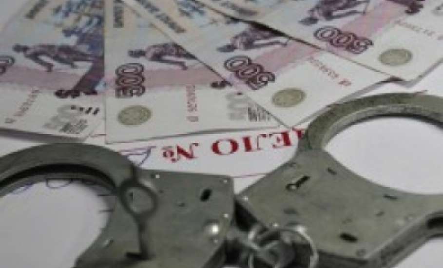 В Елецком районе местному жителю вынесен приговор за попытку подкупить полицейского