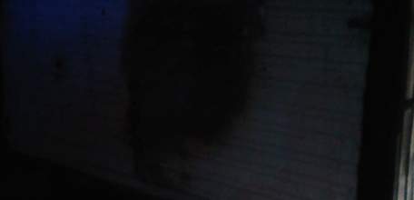 Загорание ларька в Елецком районе