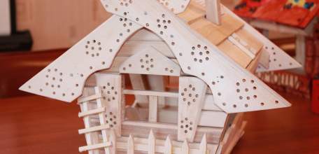 В Ельце подведены итоги муниципального этапа областной акции «Птицы – наши друзья! Помоги другу!»