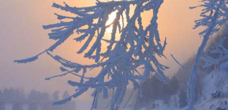 Внимание! Экстренное предупреждение о приближении аномального холода 22-27 февраля 2018 года