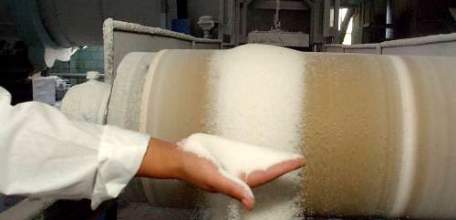 Липецкие сахаровары достигли рекордного показателя по итогам завершившегося сезона