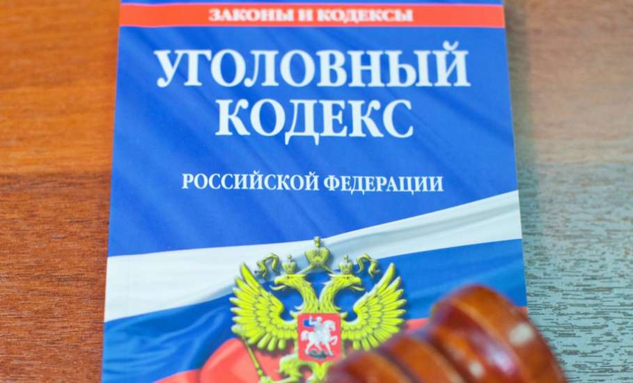 Прокурор Ельца утвердил обвинительное заключение по уголовному делу за совершение кражи и грабежа