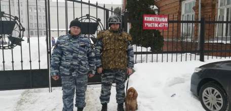Кинологическая служба проверяет избирательные участки Ельца