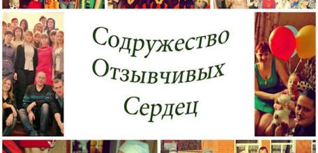 Результаты работы и планы на будущее добровольческого отряда &laquo;Содружество отзывчивых сердец&raquo; в программе &laquo;Я &ndash; доброволец&raquo;