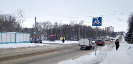 20 марта елецкие автоинспекторы выявляли нарушителей на пешеходных переходах