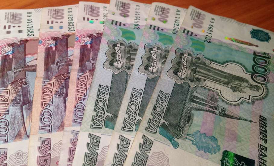 Житель Ельца получил займ на сумму 8 000 рублей, предоставил ложные сведения о месте своей работы и персональном доходе